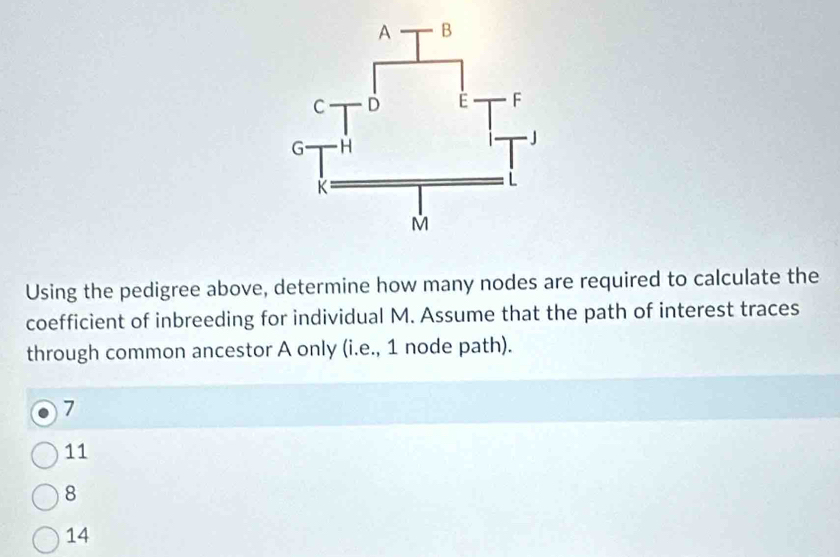 Using the pedigree above, determine how many nodes are required to calculate the
coefficient of inbreeding for individual M. Assume that the path of interest traces
through common ancestor A only (i.e., 1 node path).
7
11
8
14