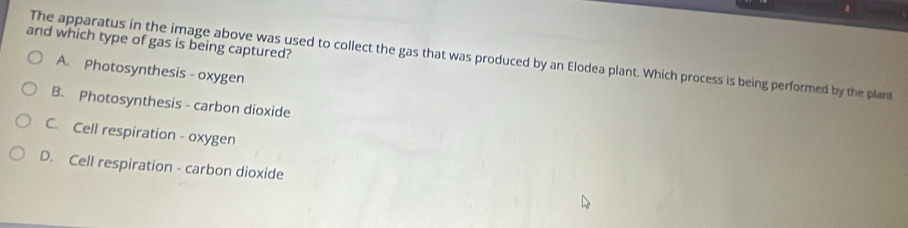 and which type of gas is being captured?
The apparatus in the image above was used to collect the gas that was produced by an Elodea plant. Which process is being performed by the plant
A. Photosynthesis - oxygen
B. Photosynthesis - carbon dioxide
C. Cell respiration - oxygen
D. Cell respiration - carbon dioxide