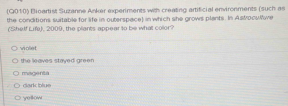 (Q010) Bioartist Suzanne Anker experiments with creating artificial environments (such as
the conditions suitable for life in outerspace) in which she grows plants. In Asfroculture
(Shelf Life), 2009, the plants appear to be what color?
violet
the leaves stayed green
magenta
dark blue
yellow