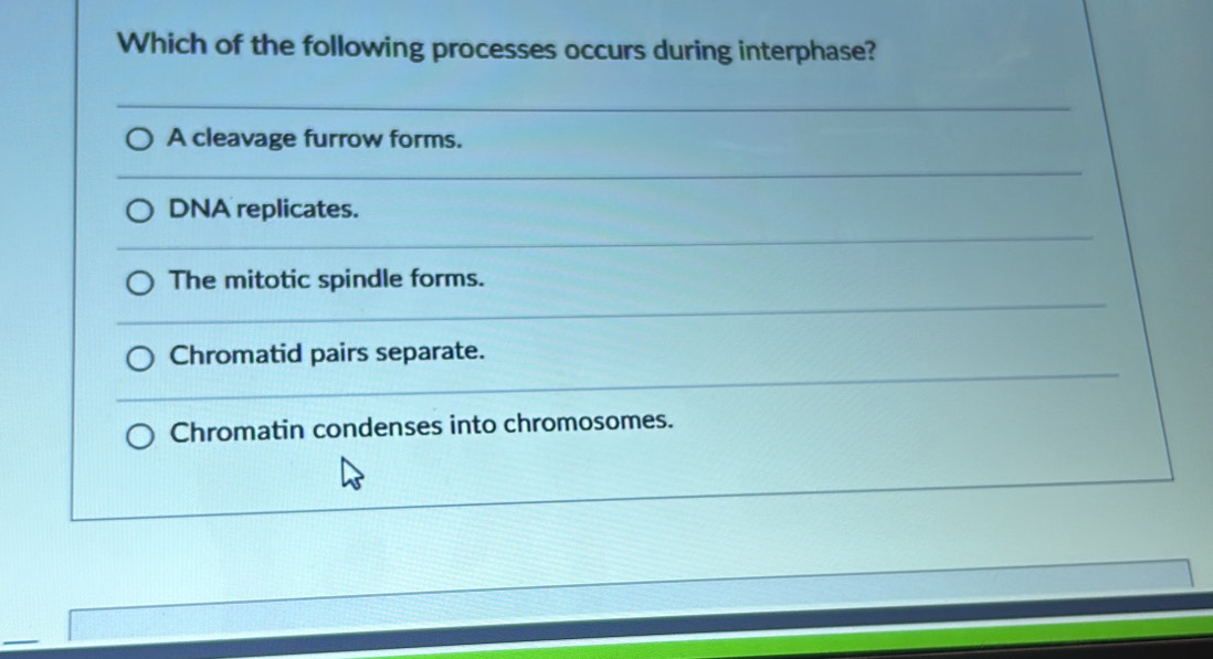 Which of the following processes occurs during interphase?
A cleavage furrow forms.
DNA replicates.
The mitotic spindle forms.
Chromatid pairs separate.
Chromatin condenses into chromosomes.