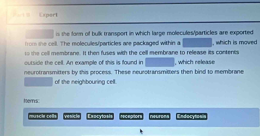 Export 
is the form of bulk transport in which large molecules/particles are exported 
from the cell. The molecules/particles are packaged within a , which is moved 
to the cell membrane. It then fuses with the cell membrane to release its contents 
outside the cell. An example of this is found in , which release 
neurotransmitters by this process. These neurotransmitters then bind to membrane 
of the neighbouring cell. 
Items: 
muscle cells vesicle Exocytosis receptors neurons Endocytosis