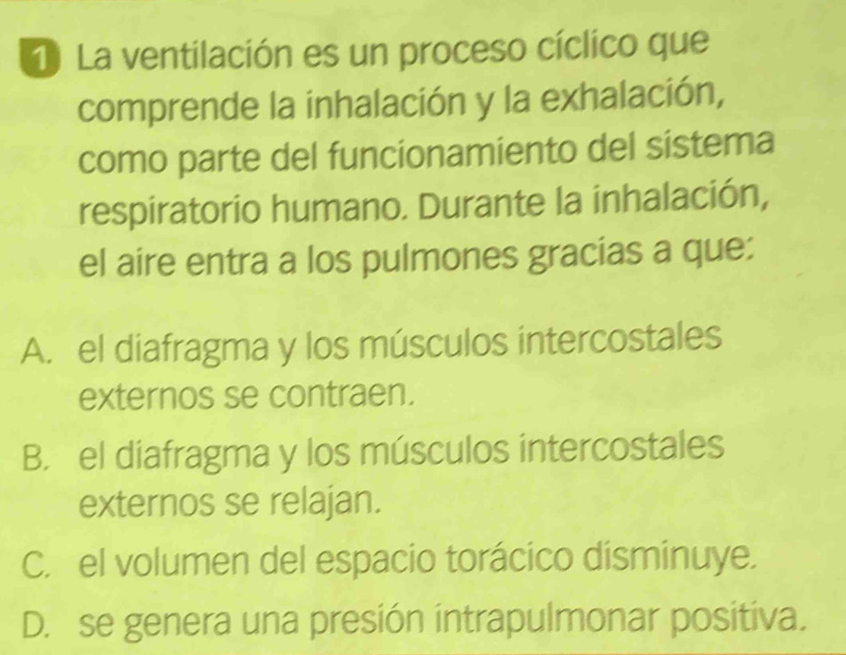 La ventilación es un proceso cíclico que
comprende la inhalación y la exhalación,
como parte del funcionamiento del sistema
respiratorio humano. Durante la inhalación,
el aire entra a los pulmones gracias a que:
A. el diafragma y los músculos intercostales
externos se contraen.
B. el diafragma y los músculos intercostales
externos se relajan.
C. el volumen del espacio torácico disminuye.
D. se genera una presión intrapulmonar positiva.