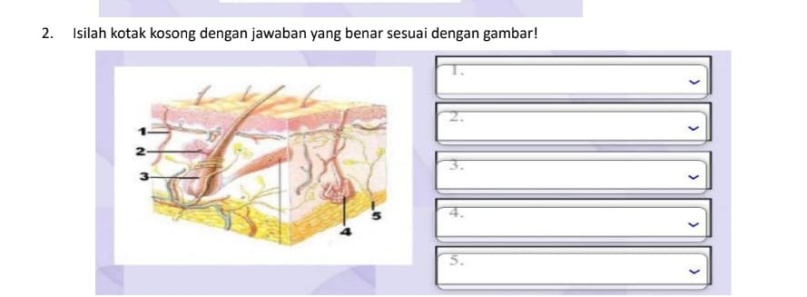 Isilah kotak kosong dengan jawaban yang benar sesuai dengan gambar! 
1. 
2. 
3. 
4. 
5.