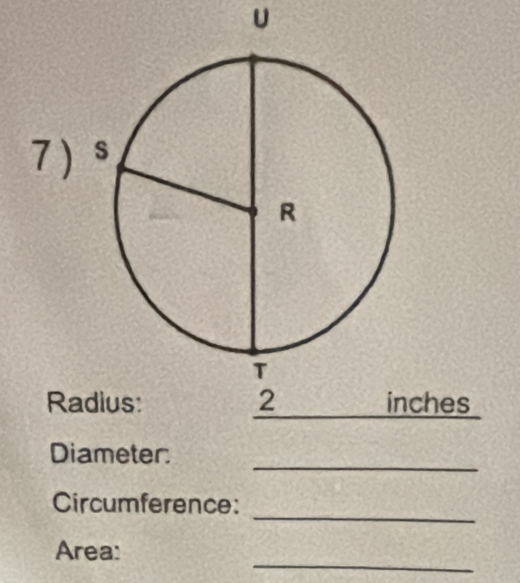 Raches 
_ 
Diameter: 
_ 
Circumference: 
_ 
Area: