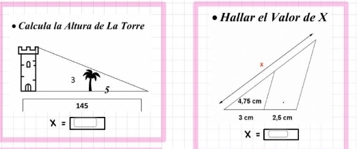 Hallar el Valor de X
Calcula la Altura de La Torre

x=□
x=□