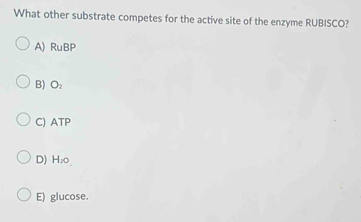 What other substrate competes for the active site of the enzyme RUBISCO?
A) RuBP
B) O_2
C) ATP
D) H_2O
E) glucose.