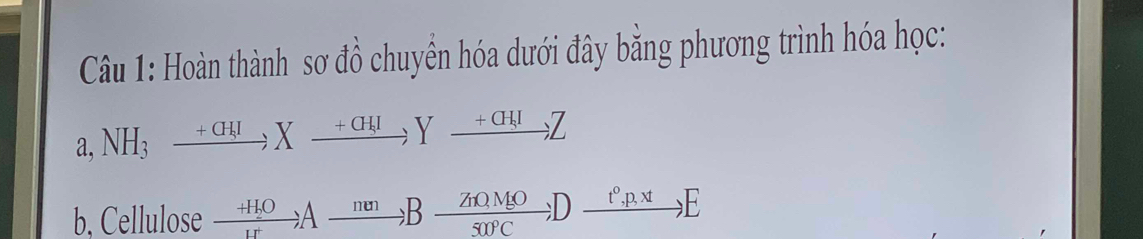 Hoàn thành sơ đồ chuyển hóa dưới đây bằng phương trình hóa học:
a,NH_3xrightarrow +CH_3IIXxrightarrow +CH_3IYxrightarrow +CH_3IZ
b, Cellulose frac H_2Odownarrow Axrightarrow to  ZnOMO/50°C 50°C; Dxrightarrow ell E