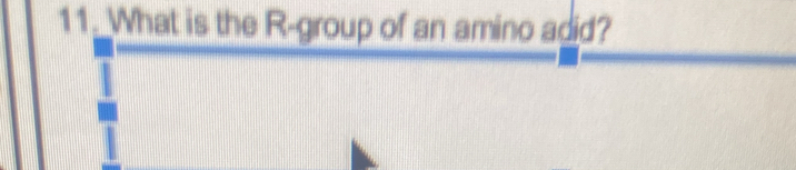 What is the R-group of an amino adid?