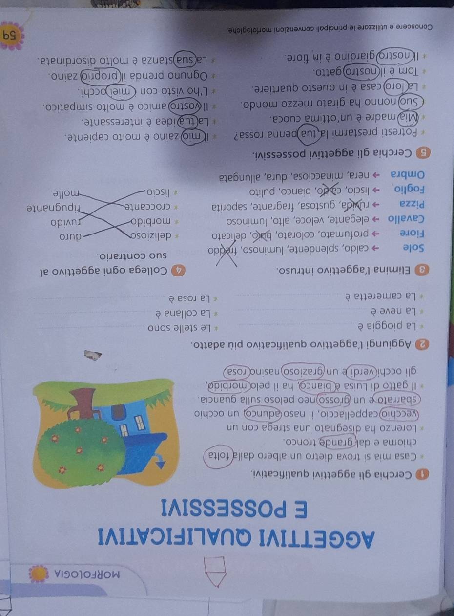 MORFOLOGIA
AGGETTIVI QUALIFICATIVI
E POSSESSIVI
Cerchia gli aggettivi qualificativi.
Casa mia si trova dietro un albero dalla folta
chioma e dal grande tronco.
Lorenzo ha disegnato una strega con un
vecchio cappellaccio, il naso adunco, un occhio
sbarrato e un grosso)neo peloso sulla guancia.
Il gatto di Luisa è bianco, ha il pelo morbido,
gli occhi verdi e un grazioso nasino rosa
2 Aggiungi l’aggettivo qualificativo più adatto.
La pioggia è _Le stelle sono_
La neve è _ La collana è_
La cameretta è _La rosa è_
Elimina l’aggettivo intruso. 4 Collega ogni aggettivo al
Sole caldo, splendente, luminoso, freddo suo contrario.
Fiore profumato, colorato, buio, delicato delizioso duro
Cavallo elegante, veloce, alto, luminoso morbido ruvido
Pizza ruvida, gustosa, fragrante, saporita croccante ripugnante
Foglio liscio, caldo, bianco, pulito liscio molle
Ombra nera, minacciosa, dura, allungata
5 Cerchia gli aggettivi possessivi.
Potresti prestarmi la tua penna rossa?  mio zaino è molto capiente.
Mia madre è un'ottima cuoca. La tua idea è interessante.
Suo)nonno ha girato mezzo mondo. Il vostro amico è molto simpatico.
La loro casa è in questo quartiere. L'ho visto con (miei occhi.
Tom è il nostro gatto. Ognuno prenda il proprio zaino.
Il nostro giardino è in fiore.  La sua)stanza è molto disordinata.
Conoscere e utilizzare le principali convenzioni morfologiche 59