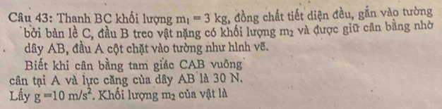 Thanh BC khối lượng m_1=3kg 1, đồng chất tiết diện đều, gắn vào tường 
bởi bản lề C, đầu B treo vật nặng có khối lượng m_2 và được giữ cân bằng nhờ 
dây AB, đầu A cột chặt vào tường như hình vẽ. 
Biết khi cân bằng tam giác CAB vuông 
cân tại A và lực căng của dây AB là 30 N. 
Lấy g=10m/s^2 Khối lượng m_2 của vật là