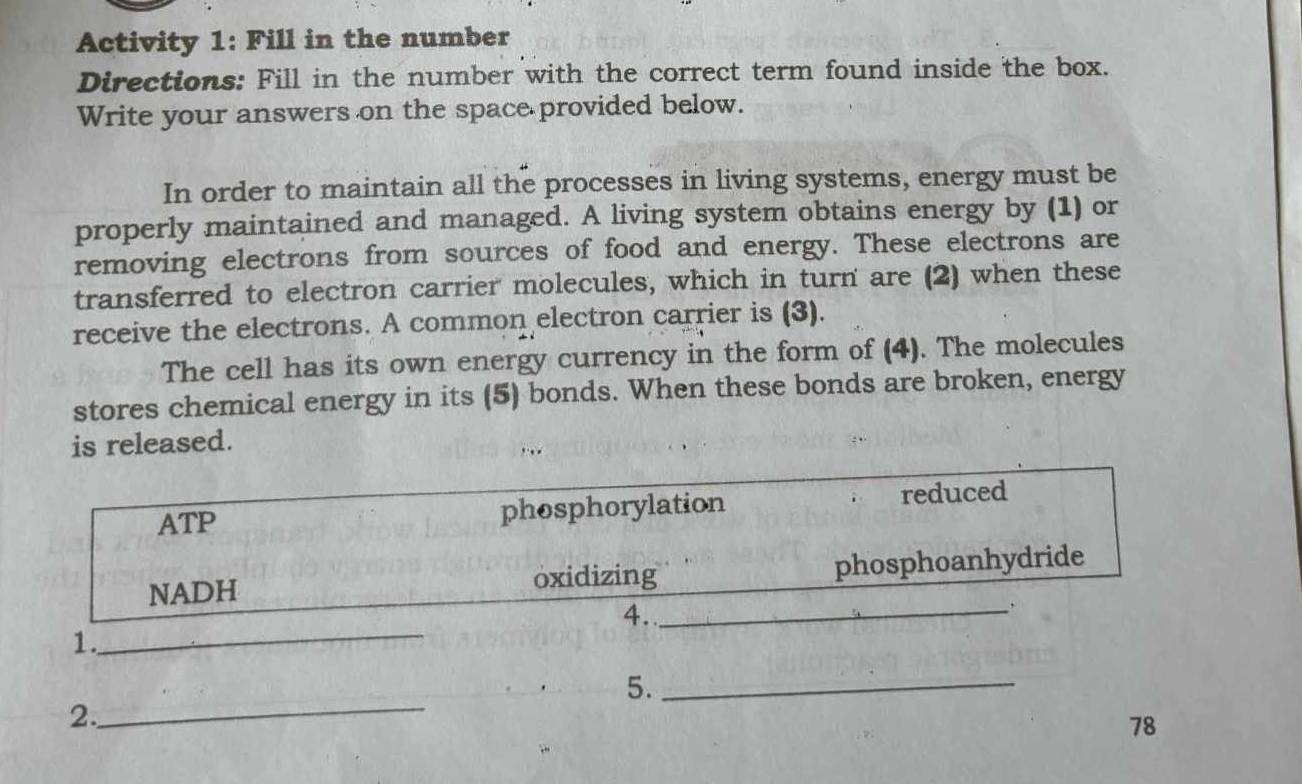 Activity 1: Fill in the number
Directions: Fill in the number with the correct term found inside the box.
Write your answers on the space provided below.
In order to maintain all the processes in living systems, energy must be
properly maintained and managed. A living system obtains energy by (1) or
removing electrons from sources of food and energy. These electrons are
transferred to electron carrier molecules, which in turn are (2) when these
receive the electrons. A common electron carrier is (3).
The cell has its own energy currency in the form of (4). The molecules
stores chemical energy in its (5) bonds. When these bonds are broken, energy
is released.
… ..
ATP phosphorylation reduced
NADH oxidizing phosphoanhydride
4._
:
1._
5._
2.
_
78