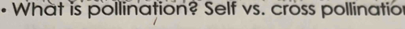 • What is pollination? Self vs. cross pollination