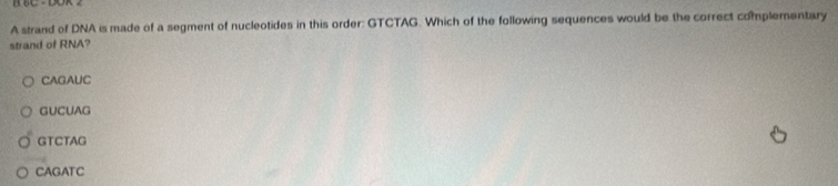 A strand of DNA is made of a segment of nucleotides in this order: GTCTAG. Which of the following sequences would be the correct complementary
strand of RNA?
CAGAUC
GUCUAG
GTCTAG
CAGATC