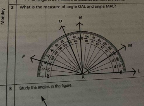 What is the measure of angle OAL and angle MAL? 
3 Study the angles in the figure.