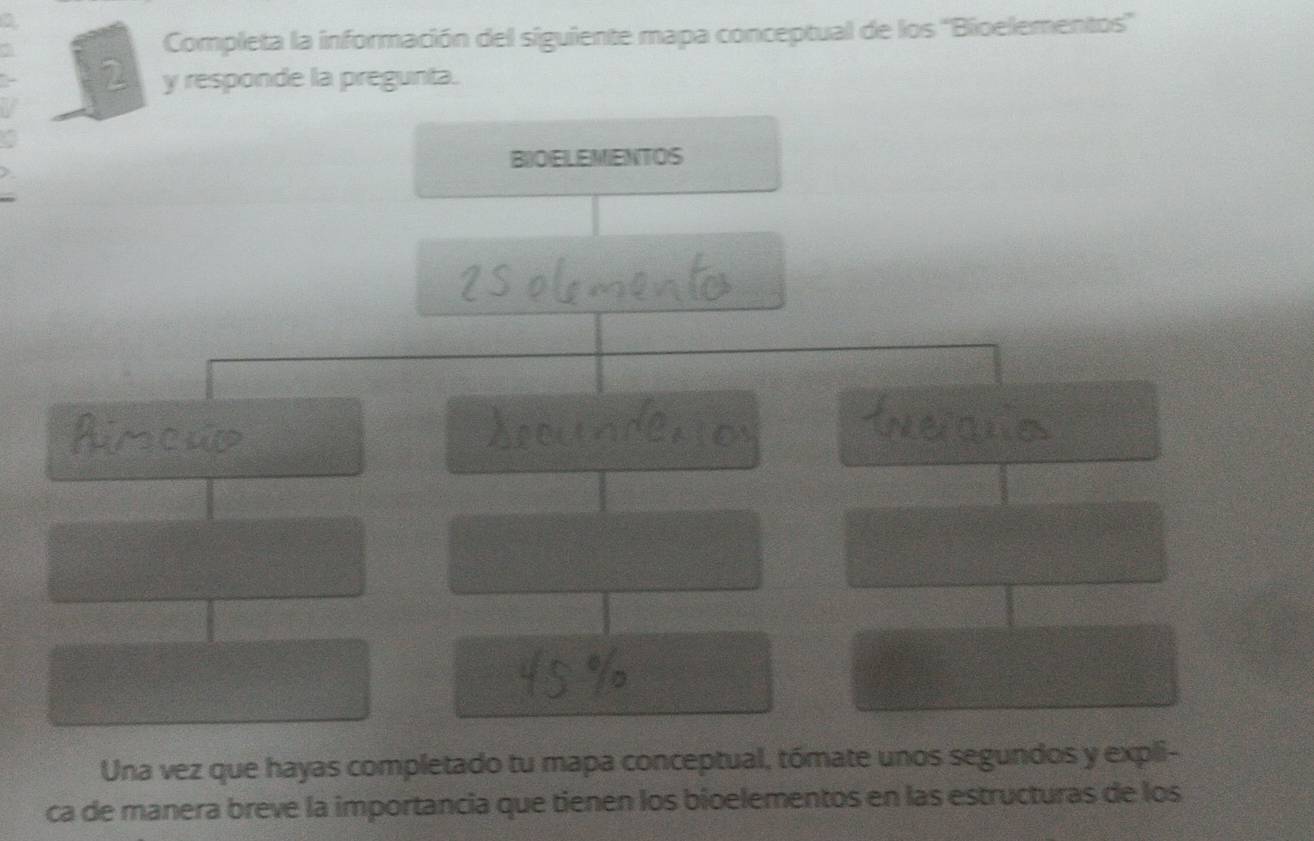 Completa la información del siguiente mapa conceptual de los ''Bioelementos'' 
2 y responde la pregunta. 
BIOELEMENTOS 
Una vez que hayas completado tu mapa conceptual, tómate unos segundos y expli- 
ca de manera breve la importancia que tienen los bioelementos en las estructuras de los