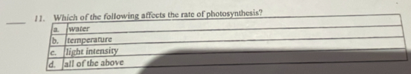 lowing affects the rate of photosynthesis?