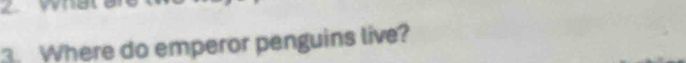 Where do emperor penguins live?