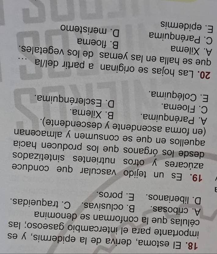 El estoma, deriva de la epidermis, y es
importante para el intercambio gaseoso; las
células que la conforman se denomina
A. cribosas. B. oclusivas. C. traqueidas.
D. liberianos. E. poros.
19. Es un tejido vascular que conduce
azúcares y otros nutrientes sintetizados
desde los órganos que los producen hacia
aquellos en que se consumen y almacenan
(en forma ascendente y descendente).
A. Parénquima. B. Xilema.
C. Floema. D. Esclerénquima.
E. Coléquima.
20. Las hojas se originan a partir del/la ..
que se halla en las yemas de los vegetales.
A. Xilema B. floema
C. Parénquima D. meristemo
E. epidermis