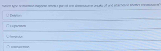 Which type of mutation happens when a part of one chromosome breaks off and attaches to another chromosome?
Deletion
Duplication
Inversion
Translocation