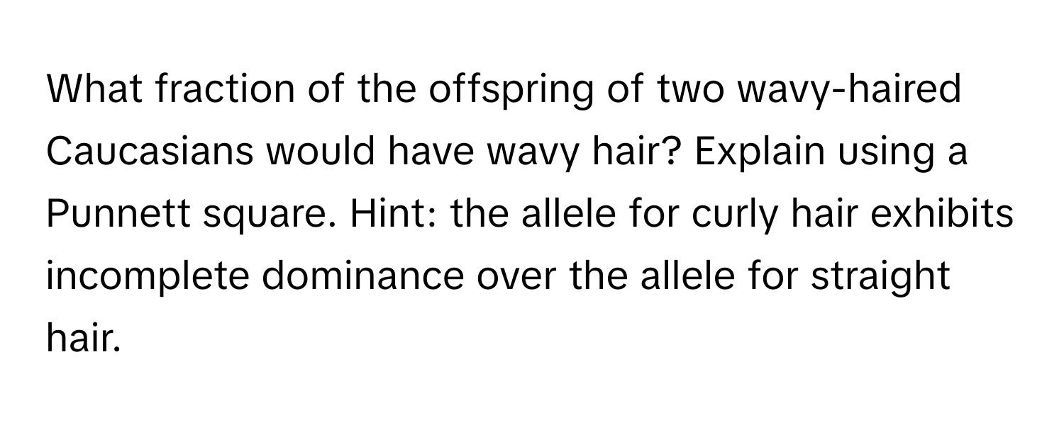 What fraction of the offspring of two wavy-haired Caucasians would have wavy hair? Explain using a Punnett square. Hint: the allele for curly hair exhibits incomplete dominance over the allele for straight hair.