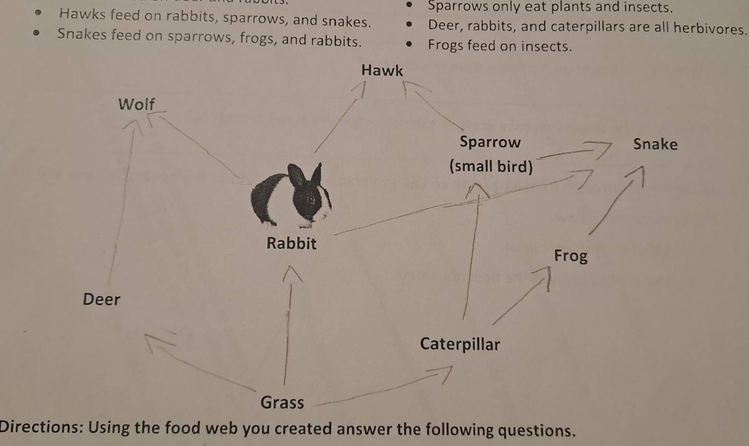 Solved: Sparrows only eat plants and insects. Hawks feed on rabbits ...