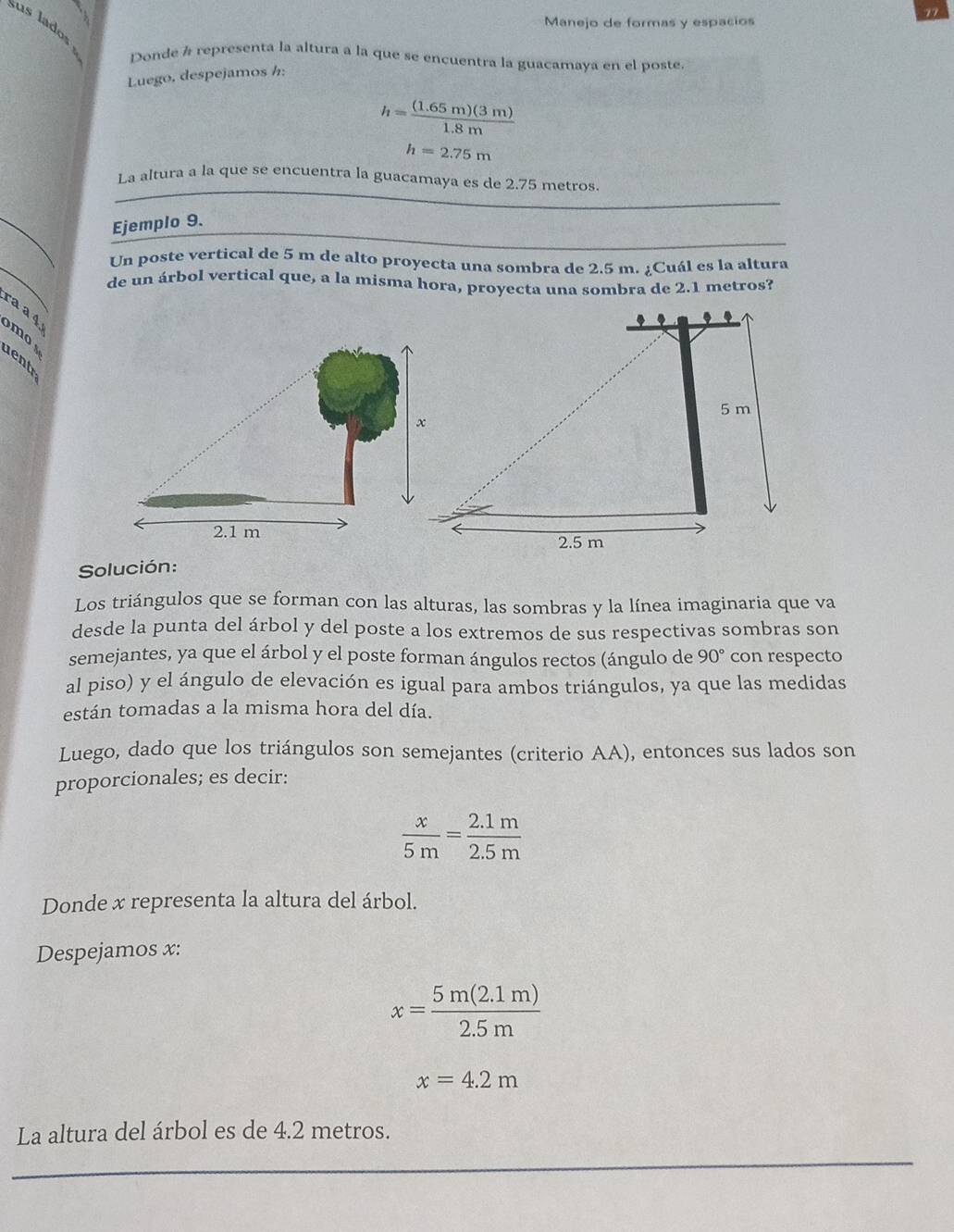 Manejo de formas y espacios 
u Donde Á representa la altura a la que se encuentra la guacamaya en el poste. 
Luego, despejamos h:
h= ((1.65m)(3m))/1.8m 
h=2.75m
La altura a la que se encuentra la guacamaya es de 2.75 metros
Ejemplo 9. 
Un poste vertical de 5 m de alto proyecta una sombra de 2.5 m. ¿Cuál es la altura 
de un árbol vertical que, a la misma hora, proyecta una sombra de 2.1 metros? 
ra a 4
m
ent 
Solución: 
Los triángulos que se forman con las alturas, las sombras y la línea imaginaria que va 
desde la punta del árbol y del poste a los extremos de sus respectivas sombras son 
semejantes, ya que el árbol y el poste forman ángulos rectos (ángulo de 90° con respecto 
al piso) y el ángulo de elevación es igual para ambos triángulos, ya que las medidas 
están tomadas a la misma hora del día. 
Luego, dado que los triángulos son semejantes (criterio AA), entonces sus lados son 
proporcionales; es decir:
 x/5m = (2.1m)/2.5m 
Donde x representa la altura del árbol. 
Despejamos x :
x= (5m(2.1m))/2.5m 
x=4.2m
La altura del árbol es de 4.2 metros.