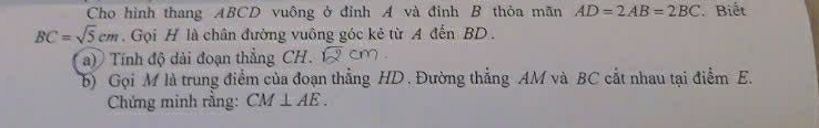 Cho hình thang ABCD vuông ở đỉnh A và đỉnh B thỏa mãn AD=2AB=2BC. Biết
BC=sqrt(5)cm. Gọi H là chân đường vuông góc kẻ từ A đến BD. 
) Tính độ dài đoạn thẳng CH. 
(b) Gọi M là trung điểm của đoạn thẳng HD. Đường thẳng AM và BC cắt nhau tại điểm E. 
Chứng mình rằng: CM⊥ AE.