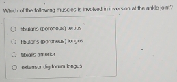 Which of the following muscles is involved in inversion at the ankle joint?
fibularis (peroneus) tertius
fibularis (peroneus) longus
tibialis anterior
extensor digitorum longus