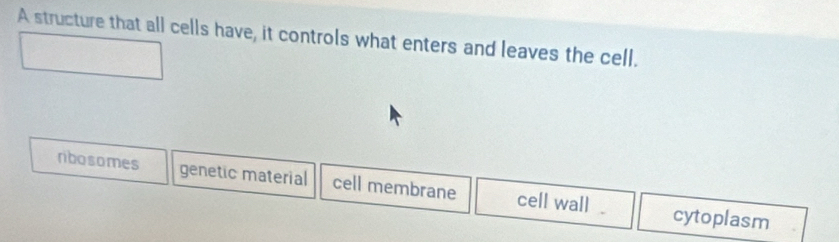 A structure that all cells have, it controls what enters and leaves the cell.
ribosomes genetic material cell membrane cell wall . cytoplasm