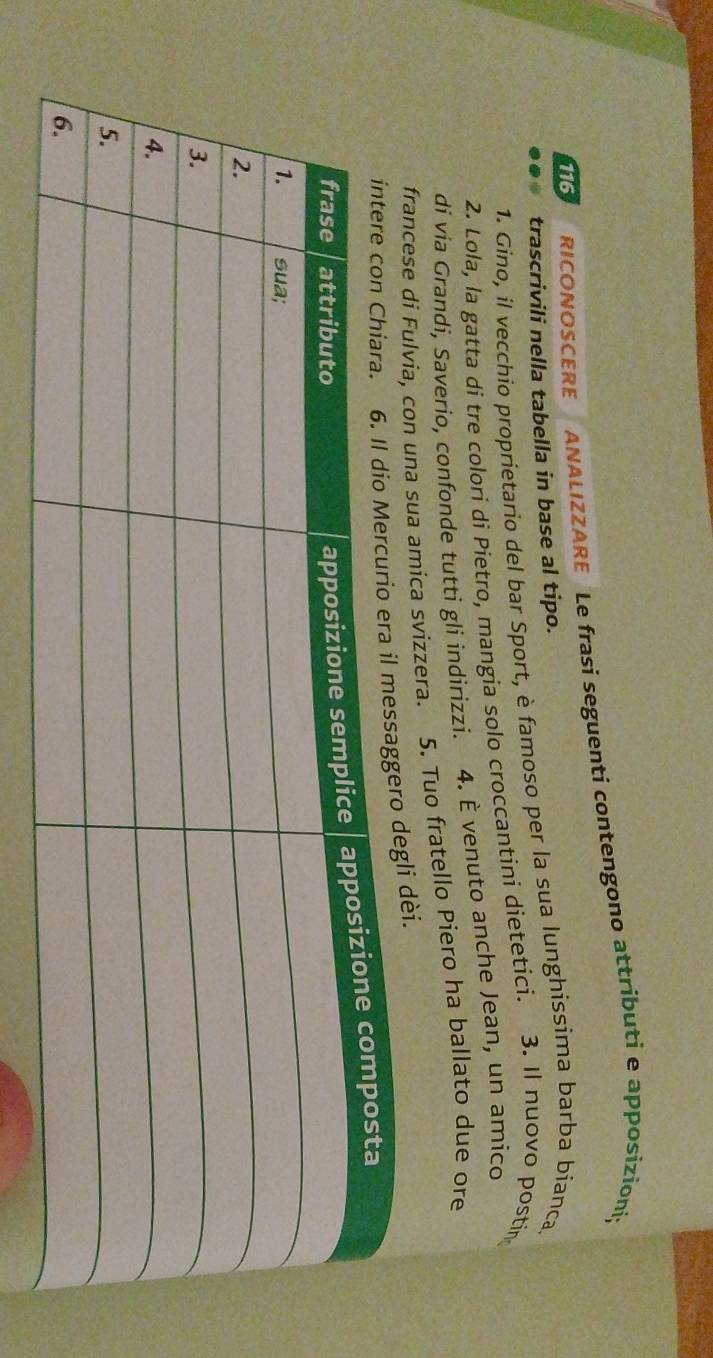 116 RICONOSCERE ANALIZZARE Le frasí seguenti contengono attributi e apposizioni; 
trascrivili nella tabella in base al tipo. 
1. Gino, il vecchio proprietario del bar Sport, è famoso per la sua lunghissima barba bianca 
2. Lola, la gatta di tre colori di Pietro, mangia solo croccantini dietetici. 3. Il nuovo postin 
di via Grandi, Saverio, confonde tutti gli indirizzi. 4. È venuto anche Jean, un amico 
francese di Fulvia, con una sua amica svizzera. 5. Tuo fratello Piero ha ballato due ore 
egli dèi.