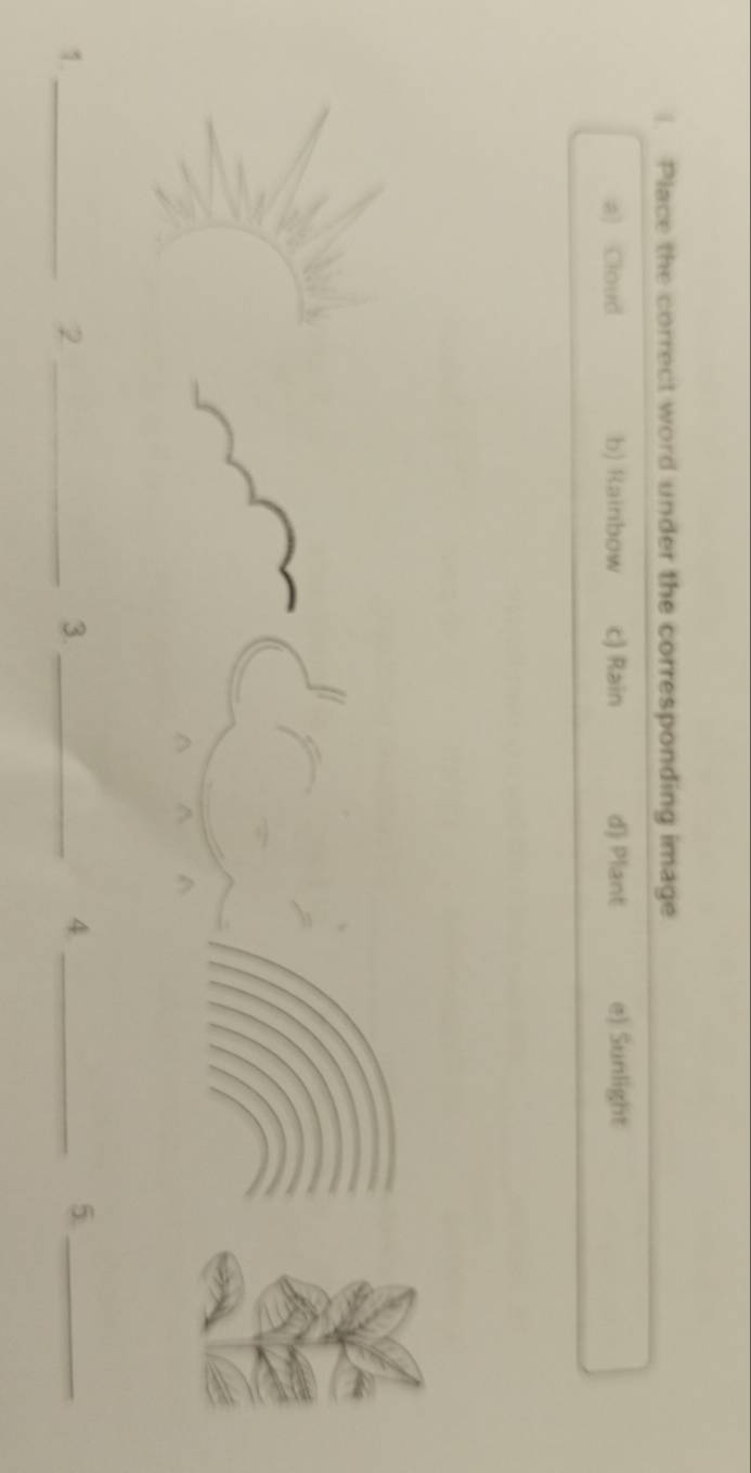 Place the correct word under the corresponding image
a) Cloud b) Rainbow c) Rain d) Plant e) Sunlight
1._
_2
3._
_4
5._