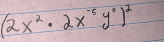 (2x^2· 2x^(-5)y^0)^2