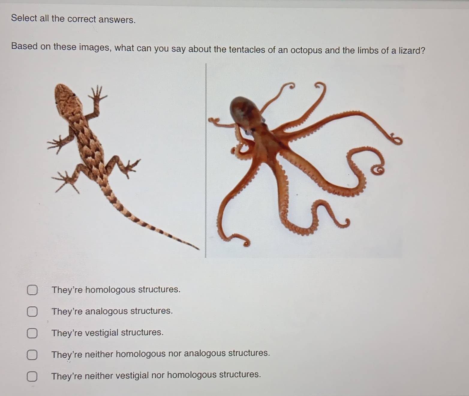 Homology - Definition and Examples - Biology Online Dictionary, image size:1564x1321