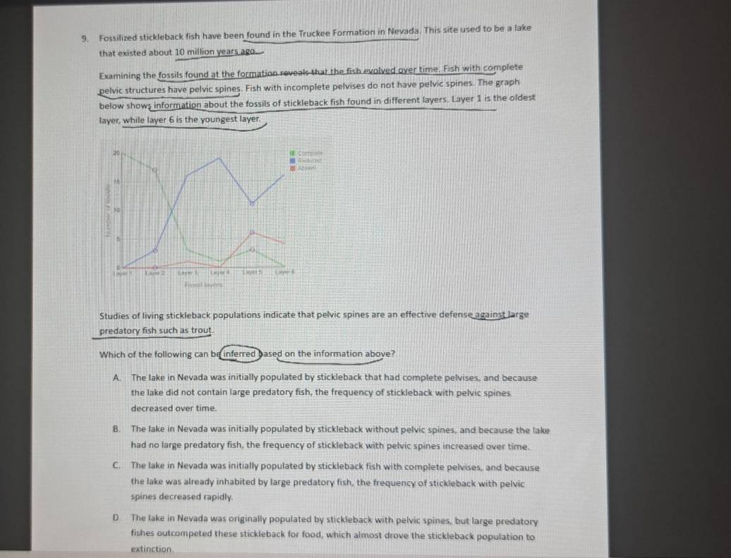 Fossilized stickleback fish have been found in the Truckee Formation in Nevada. This site used to be a lake
that existed about 10 million years ago.
Examining the fossils found at the formation reveals that the fish evolved over time. Fish with complete
pelvic structures have pelvic spines. Fish with incomplete pelvises do not have pelvic spines. The graph
below shows information about the fossils of stickleback fish found in different layers. Layer 1 is the oldest
layer, while layer 6 is the youngest layer.
Studies of living stickleback populations indicate that pelvic spines are an effective defense against large
predatory fish such as trout.
Which of the following can be inferred based on the information aboye?
A. The lake in Nevada was initially populated by stickleback that had complete pelvises, and because
the lake did not contain large predatory fish, the frequency of stickleback with pelvic spines
decreased over time.
B. The lake in Nevada was initially populated by stickleback without pelvic spines, and because the lake
had no large predatory fish, the frequency of stickleback with pelvic spines increased over time.
C. The lake in Nevada was initially populated by stickleback fish with complete pelvises, and because
the lake was already inhabited by large predatory fish, the frequency of stickleback with pelvic
spines decreased rapidly.
D. The lake in Nevada was originally populated by stickleback with pelvic spines, but large predatory
fishes outcompeted these stickleback for food, which almost drove the stickleback population to
extinction.