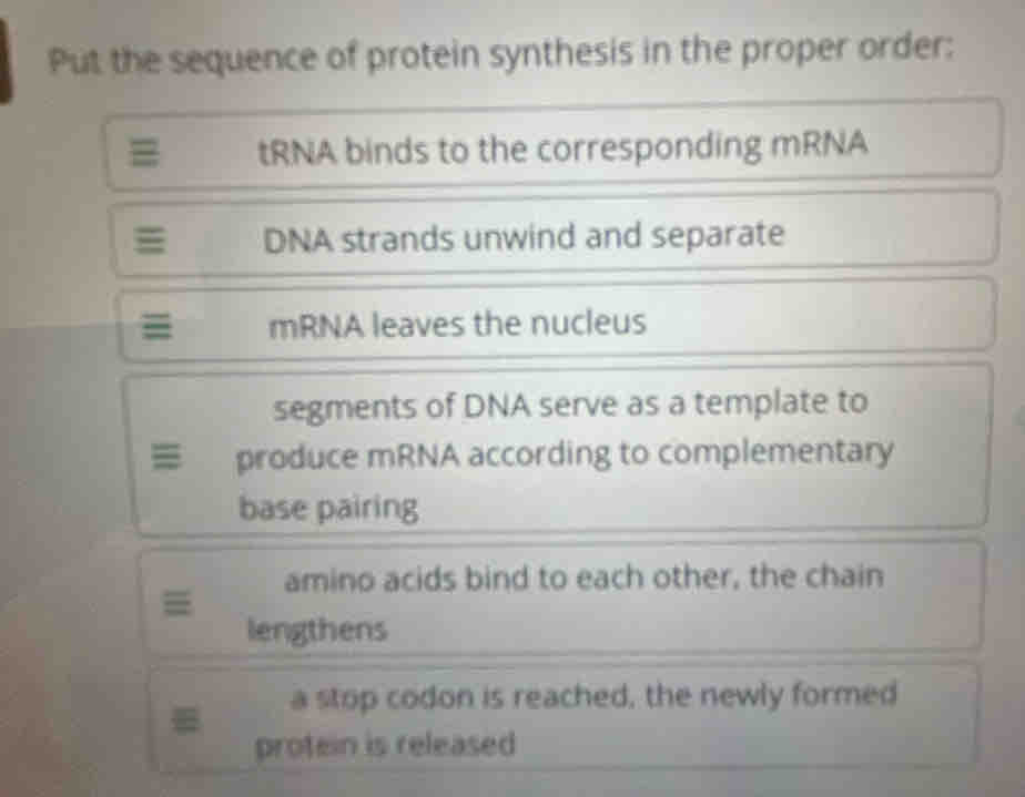 Put the sequence of protein synthesis in the proper order: 
tRNA binds to the corresponding mRNA 
DNA strands unwind and separate 
= mRNA leaves the nucleus 
segments of DNA serve as a template to 
produce mRNA according to complementary 
base pairing 
amino acids bind to each other, the chain 
lengthens 
a stop codon is reached, the newly formed 
protein is released