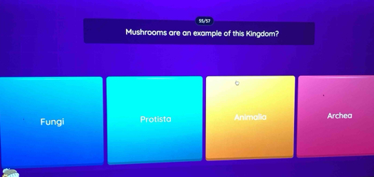 55/57
Mushrooms are an example of this Kingdom?
Fungi Protista Animalia Archea