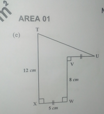 AREA 01
(e)