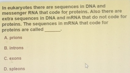 In eukaryotes there are sequences in DNA and
messenger RNA that code for proteins. Also there are
extra sequences in DNA and mRNA that do not code for
proteins. The sequences in mRNA that code for
proteins are called _.
A. prions
B. introns
C. exons
D. spleons