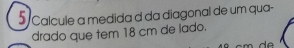 Calcule a medida d da diagonal de um qua- 
drado que tem 18 cm de lado.
m