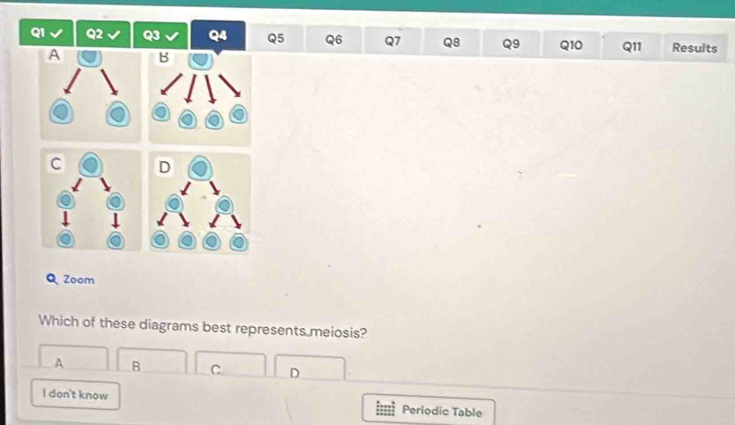 Q2 Q3 Q5 Q6 Q7 Q8 Q9 Q10 Q11 Results
Q Zoom
Which of these diagrams best represents meiosis?
A B C D
l don't know Periodic Table