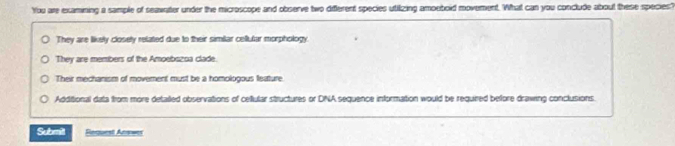 You are examining a sample of seaxrater under the microscope and observe two different species utilizing amoeboid movement. What can you conclude about these species?
They are likely closely related due to their similar ceftular morphology.
They are members of the Amoebazoa clade.
Their mechanism of movement must be a homologous feature.
Additional data from more detailed observations of celtular structures or DNA sequence information would be required before drawing conclusions.
Submilt Request Answer