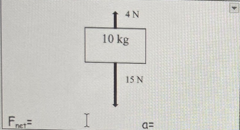 4 N
10 kg
15 N
F_net=
a=