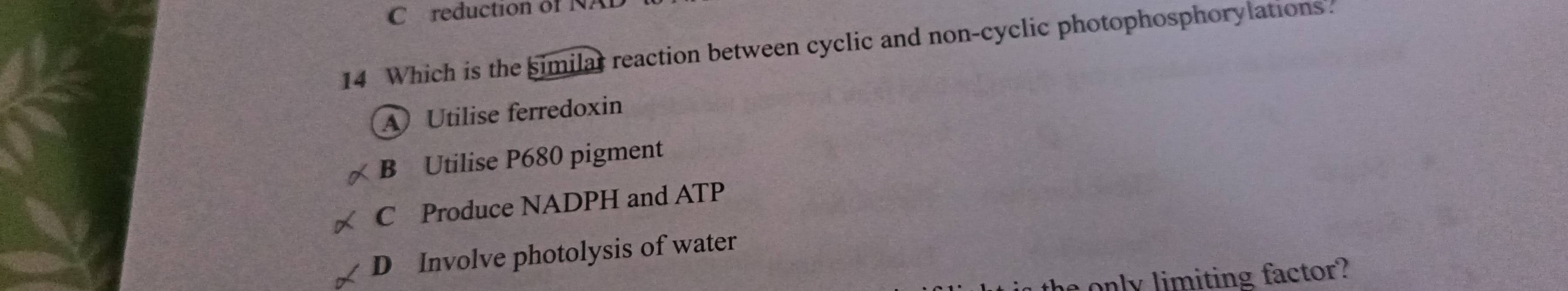 reduction of NAI
14 Which is the similar reaction between cyclic and non-cyclic photophosphorylations.
A Utilise ferredoxin
B Utilise P680 pigment
C Produce NADPH and ATP
D Involve photolysis of water
he only limiting factor?