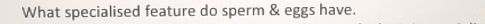 What specialised feature do sperm & eggs have.