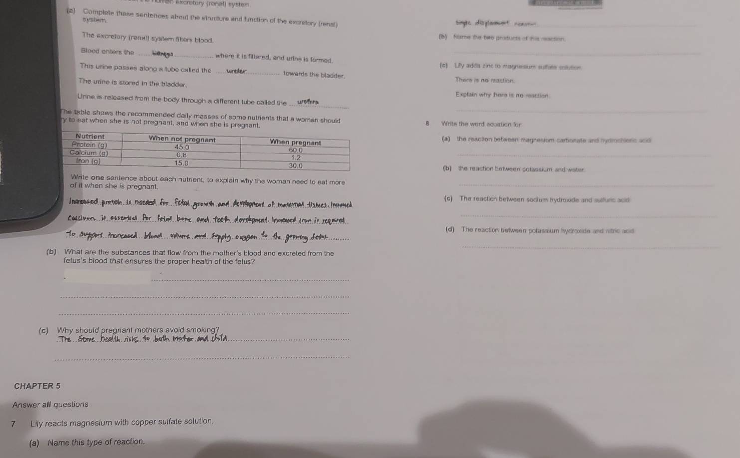 uman excretory (renal) system
(a) Complete these sentences about the structure and function of the excretory (renal)
_
system.
The excretory (renal) system filters blood.
(b) Name the two products of this reaction.
Blood enters the _where it is filtered, and urine is formed._
(c) Lily adda zine to magneisium sulfate solution.
This urine passes along a tube called the _towards the bladder. There is no reaction.
The urine is stored in the bladder.
Explain why there is no reaction
_
_
Unne is released from the body through a different tube called the
The table shows the recommended daily masses of some nutrients that a woman should 8 Write the word equation for:
ry to eat when she is not pregnant, and when she is pregnant.
(a) the reaction between magnesium cartionate and nydrochlers acid
_
(b) the reaction between potassium and water
Write one sentence about each nutrient, to explain why the woman need to eat more_
of it when she is pregnant.
Inocased prete
_
(c) The reaction between sodium hydroxide and sulfuric acid
_
_
_
(d) The reaction between potassium hydroxide and nitric acd
_
(b) What are the substances that flow from the mother's blood and excreted from the
fetus's blood that ensures the proper health of the fetus?
_
_
_
_
(c) Why should pregnant mothers avoid smoking?
_
_
_
CHAPTER 5
Answer all questions
7 Lily reacts magnesium with copper sulfate solution.
(a) Name this type of reaction.