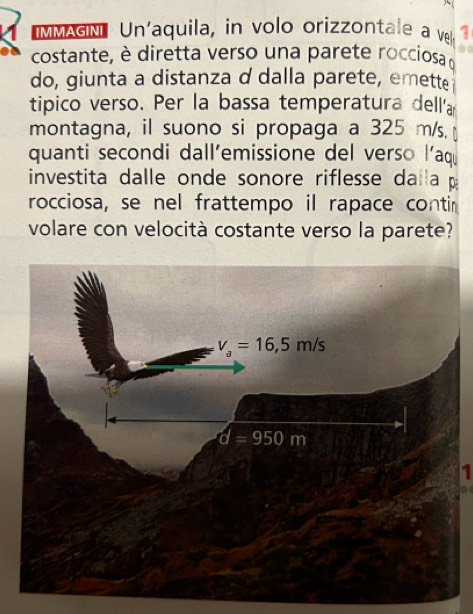 IMMAGIN Un'aquila, in volo orizzontale a vl.
costante, è diretta verso una parete rocciosa 
do, giunta a distanza d dalla parete, emette
tipico verso. Per la bassa temperatura dell'a
montagna, il suono si propaga a 325 m/s. 
quanti secondi dall’emissione del verso l’aqū
investita dalle onde sonore riflesse da a p
rocciosa, se nel frattempo il rapace contin
volare con velocità costante verso la parete?
1