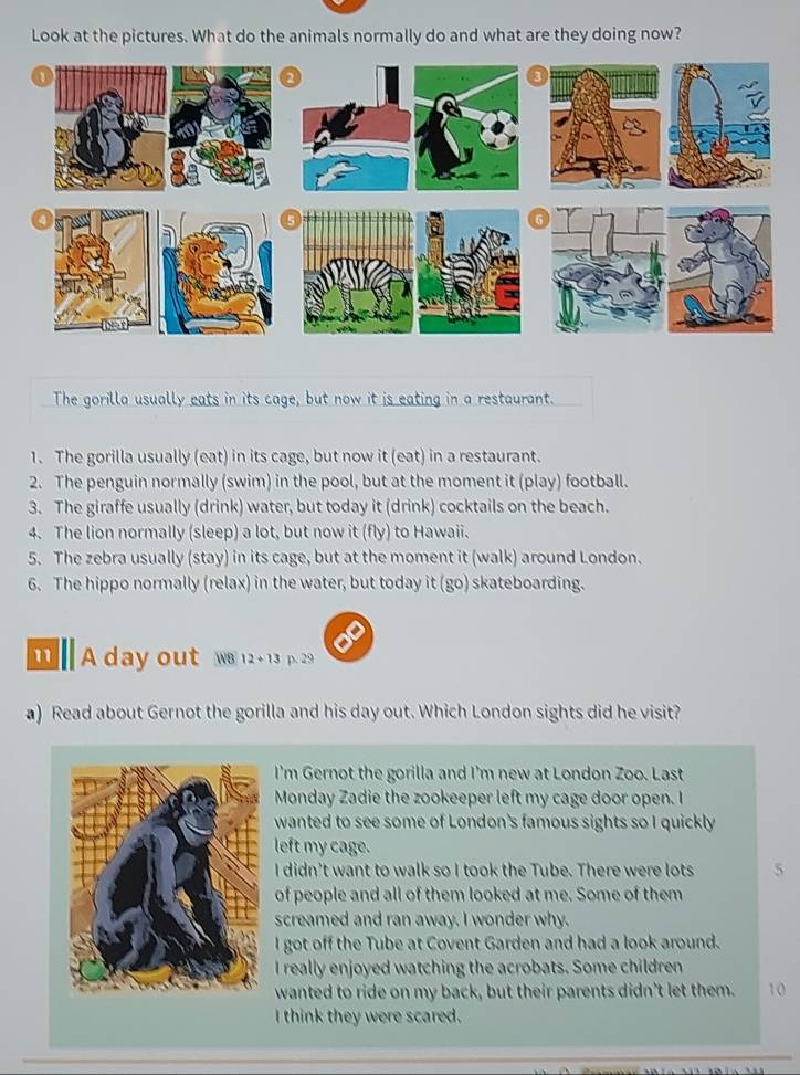 Look at the pictures. What do the animals normally do and what are they doing now?
The gorilla usually eats in its cage, but now it is eating in a restaurant.
1. The gorilla usually (eat) in its cage, but now it (eat) in a restaurant.
2. The penguin normally (swim) in the pool, but at the moment it (play) football.
3. The giraffe usually (drink) water, but today it (drink) cocktails on the beach.
4. The lion normally (sleep) a lot, but now it ( t(v) to Hawaii.
5. The zebra usually (stay) in its cage, but at the moment it (walk) around London.
6. The hippo normally (relax) in the water, but today it (go) skateboarding.
11 day out we 12+13 p. 29
a) Read about Gernot the gorilla and his day out. Which London sights did he visit?
I'm Gernot the gorilla and I'm new at London Zoo. Last
Monday Zadie the zookeeper left my cage door open. I
wanted to see some of London's famous sights so I quickly
left my cage.
I didn't want to walk so I took the Tube. There were lots 5
of people and all of them looked at me. Some of them
screamed and ran away. I wonder why.
I got off the Tube at Covent Garden and had a look around.
I really enjoyed watching the acrobats. Some children
wanted to ride on my back, but their parents didn't let them. 10
I think they were scared.