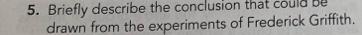 Briefly describe the conclusion that could be 
drawn from the experiments of Frederick Griffith.