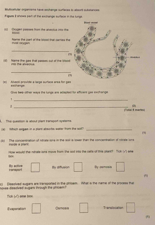 Multicellular organisms have exchange surfaces to absorb substances
Figure 2 shows part of the exchange surface in the lungs
(c) Oxygen passes from the alveolus into the
blood
Name the part of the blood that carries the
most oxygen
_
(1)
(d) Name the gas that passes out of the blood
into the alveolus
_
(1)
(e) Alveoli provide a large surface area for gas
exchange.
Give two other ways the lungs are adapted for efficient gas exchange
_1
2 _(2)
(Total 9 marks)
. This question is about plant transport systems.
(a) Which organ in a plant absorbs water from the soil?_
(1)
(b) The concentration of nitrate ions in the soil is lower than the concentration of nitrate ions
inside a plant.
How would the nitrate ions move from the soil into the cells of this plant? Tick (√) one
box.
By active By diffusion
transport By osmosis
(1)
c) Dissolved sugars are transported in the phloem. What is the name of the process that
noves dissolved sugars through the phloem?
Tick (√) one box.
Evaporation Osmosis Translocation
(1)