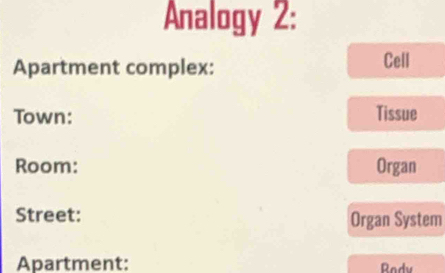 Analogy 2: 
Apartment complex: Cell 
Town: Tissue 
Room: Organ 
Street: Organ System 
Apartment: Rody